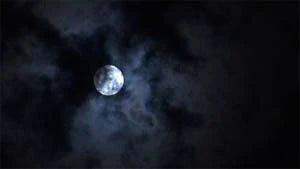 Ambient Calm DVD