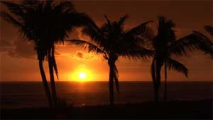 Ambient Calm DVD