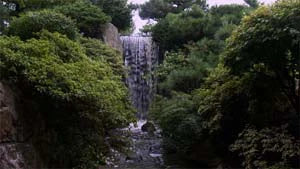 Ambient Calm DVD