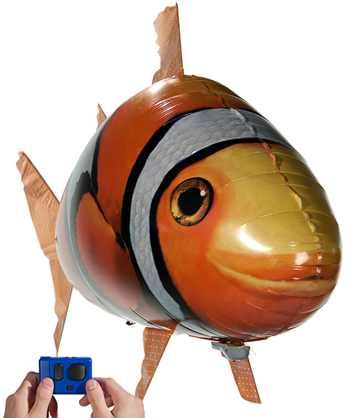 Clownfish