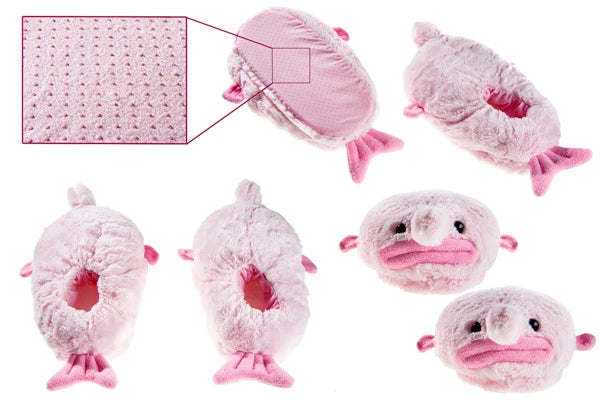 Multiple views of slippers