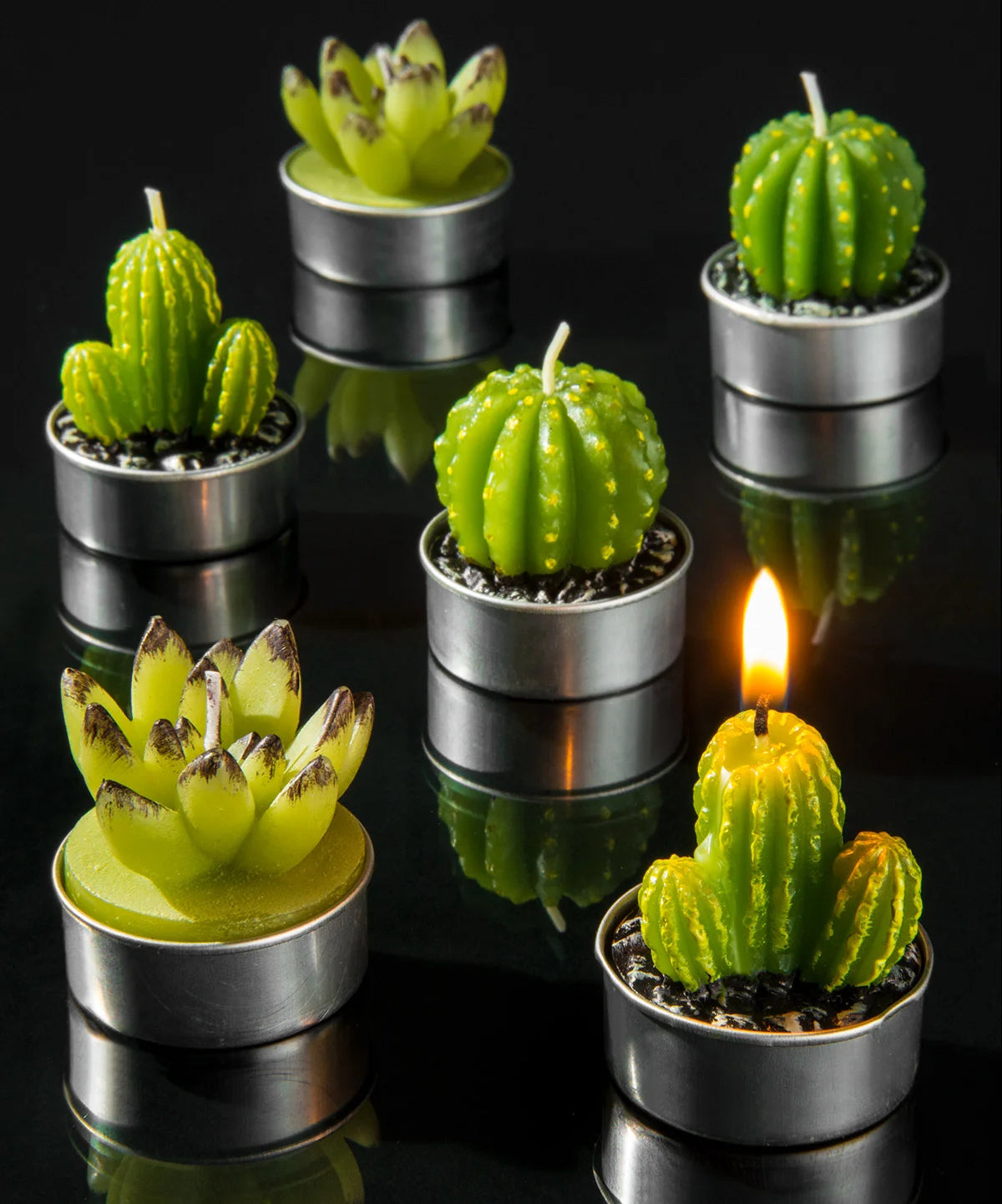 Cactus Tea Light Set – Vat19