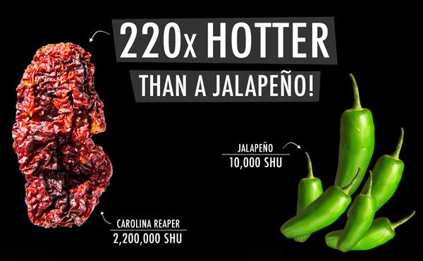 220x hotter than a jalapeno