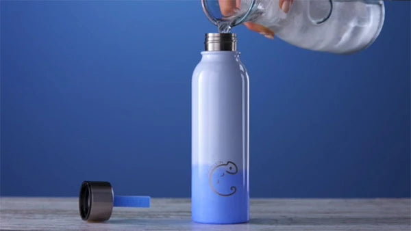 Color Changing Water Bottle