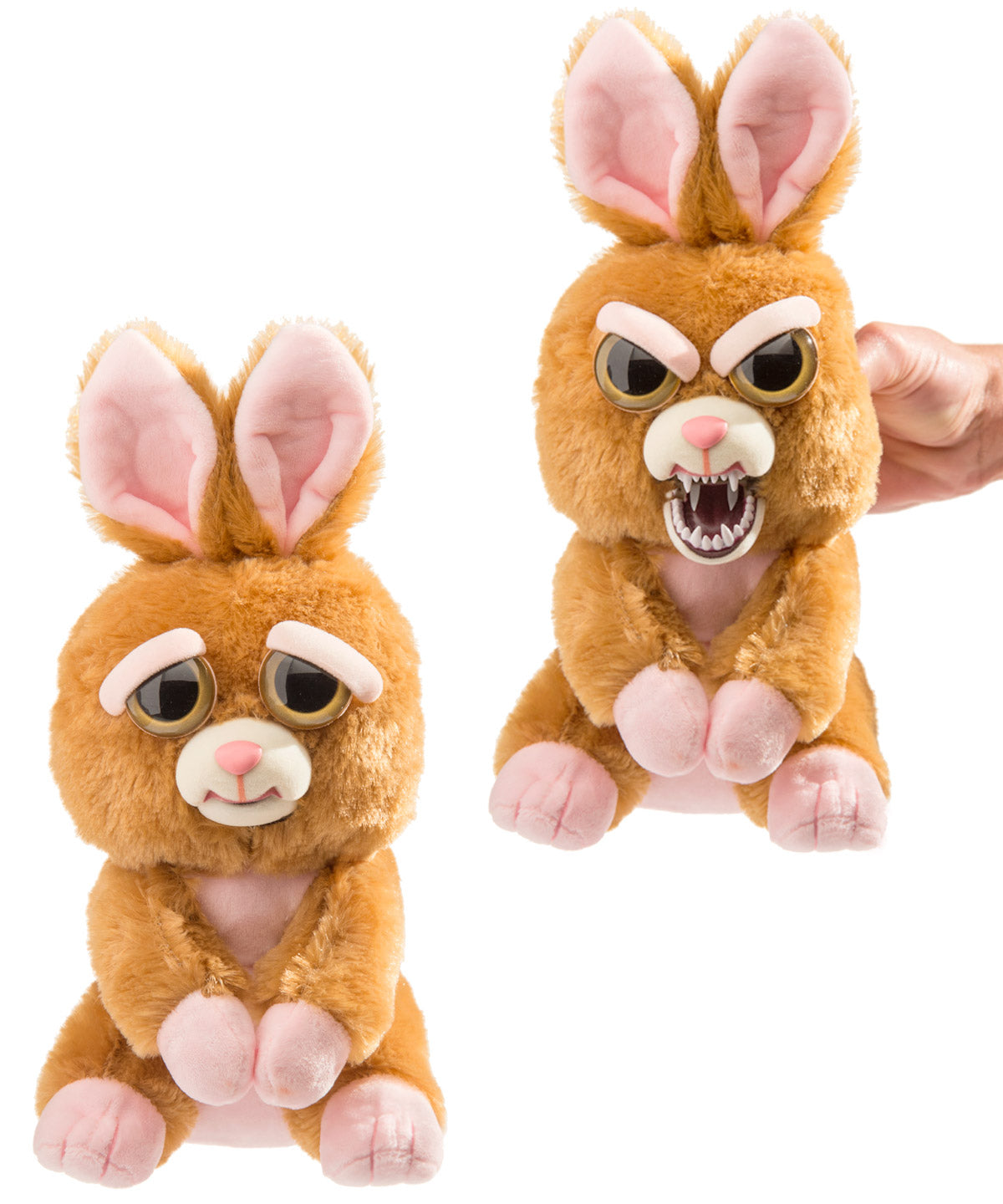 Feisty Pets-Bunny beauty shot