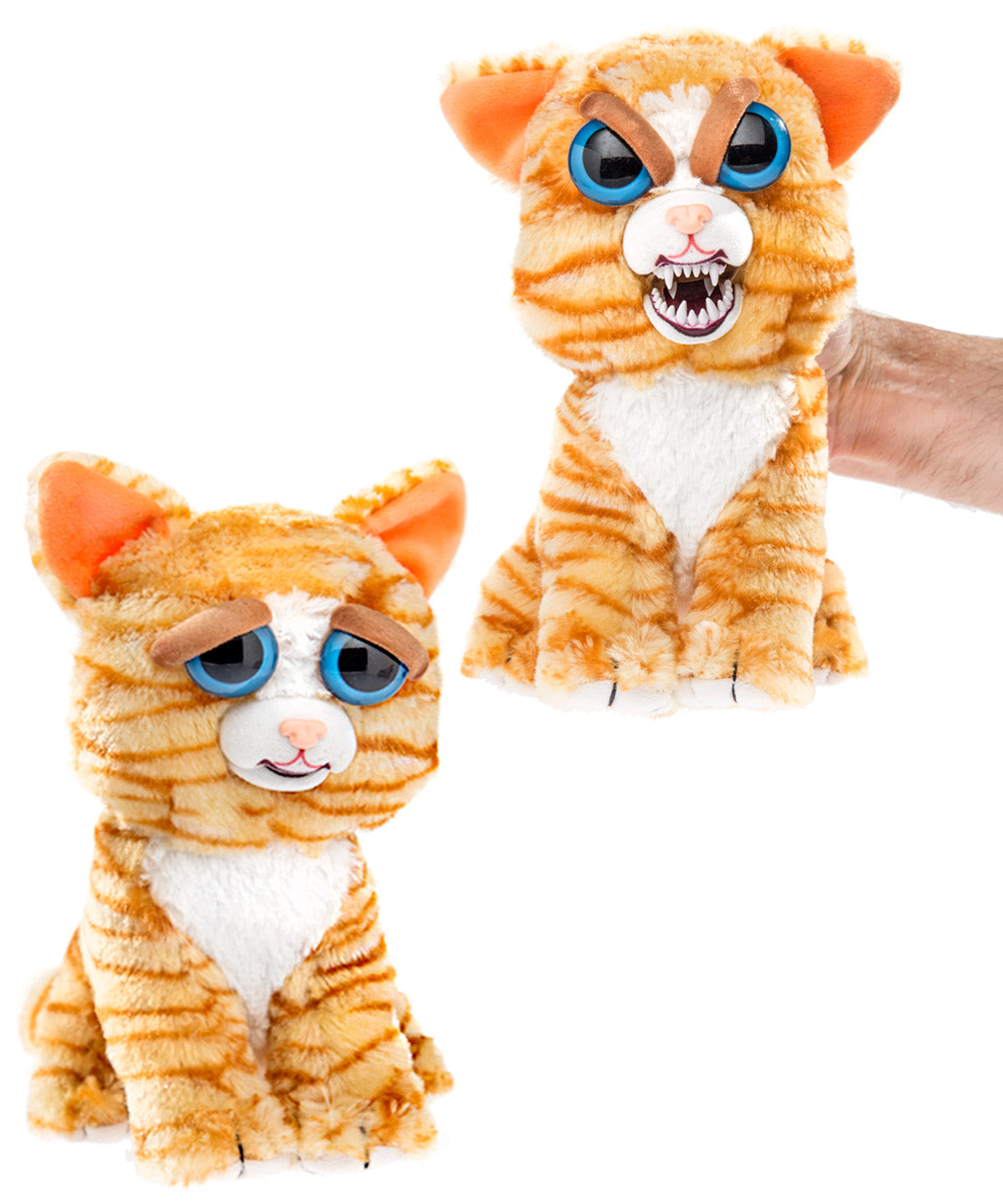 Feisty Pets-Cat beauty shot