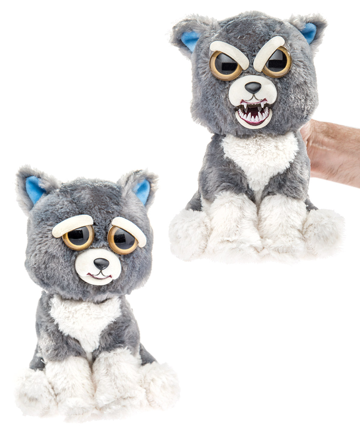 Feisty Pets-Dog beauty shot