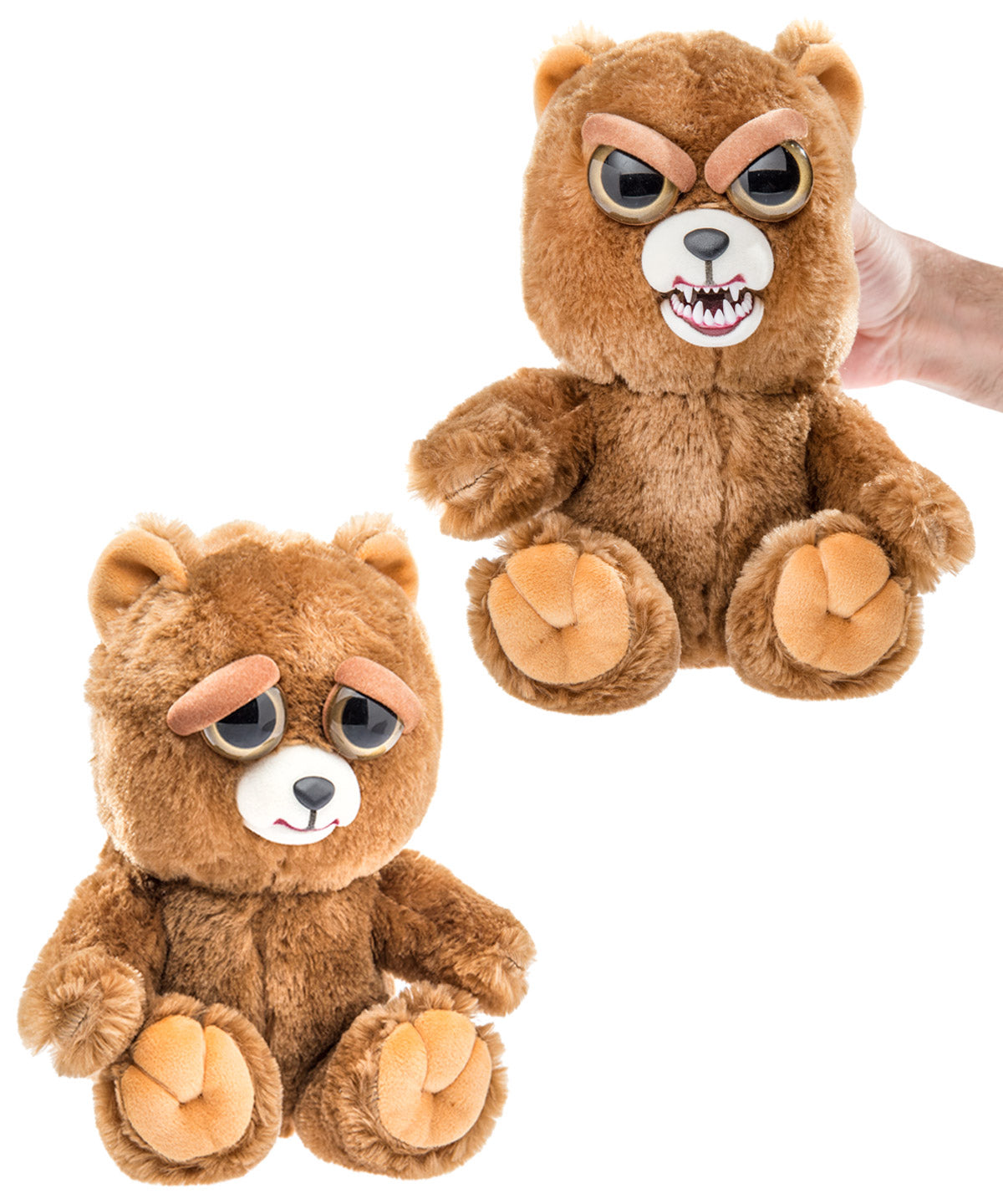 Feisty Pets-Teddy Bear beauty shot