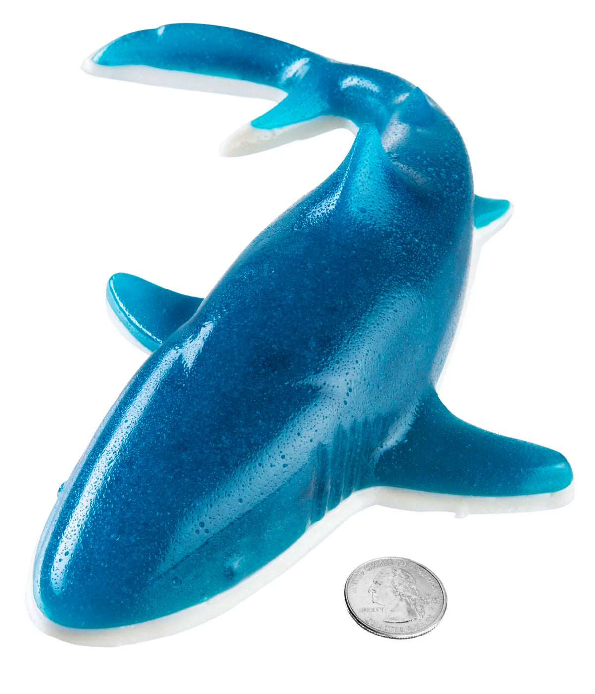 Giant Gummy Shark beauty shot
