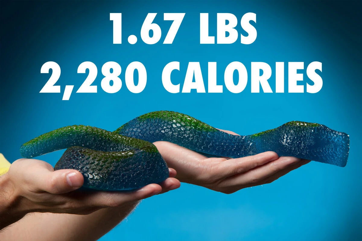 The Giant Gummy Snake is nearly 30 inches (0.76 m) long.