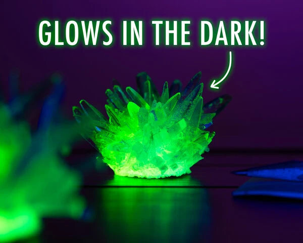 Grow your own glowing crystal in just a matter of days with this kit!
