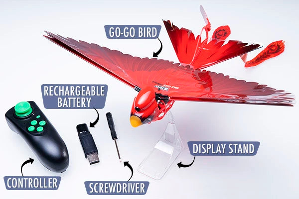 Everything you need to fly