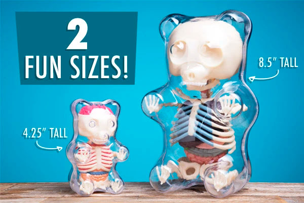 The Gummy Bear Anatomy Puzzle is available in two sizes.