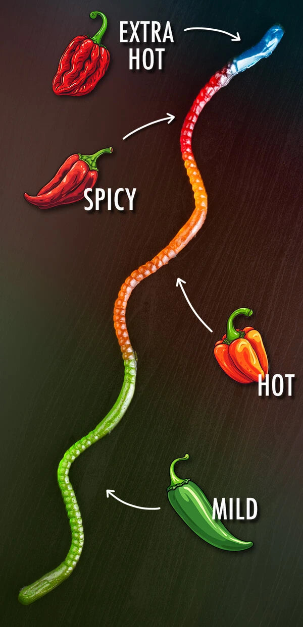 Each section of The Gummy Fireworm is spicier than the last! Flavors are: Green Apple, Orange, Red Cherry, and Blue Raspberry.