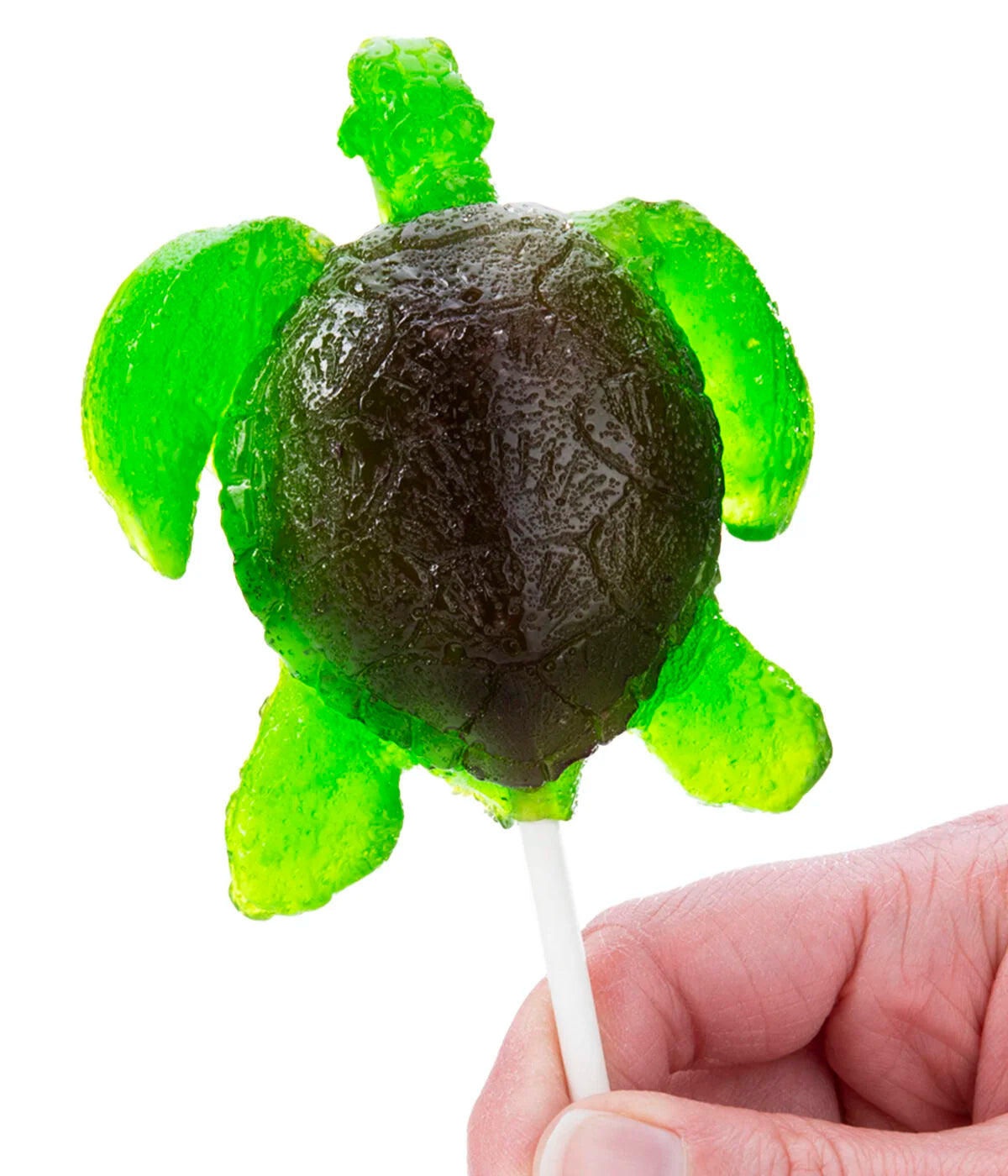Gummy Sea Turtle beauty shot