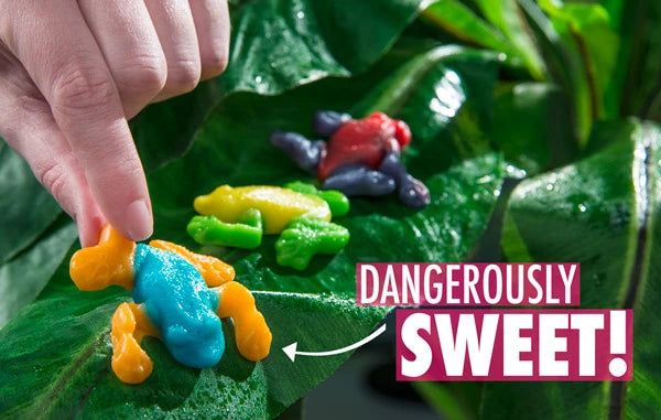 Gummy Tree Frogs