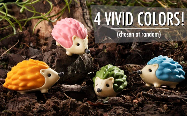 Colorful critters