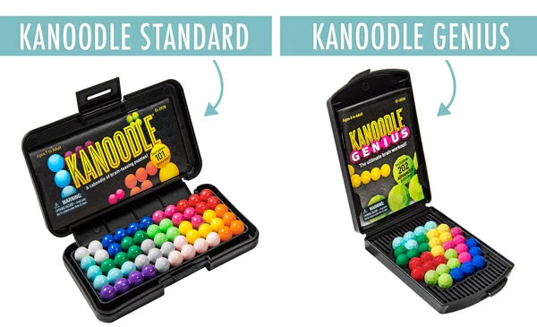 Kanoodle is available in two versions: Standard and Genius.