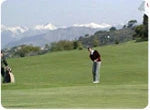 Good Golf is Easy DVD