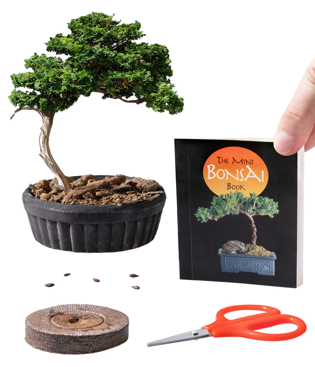 grow it bonsai tree kit instructions The Mini Bonsai Kit
