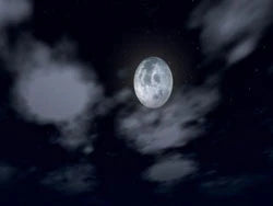 Ambient Sleep DVD
