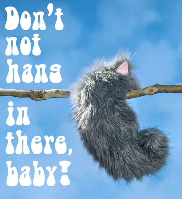 The Not-a-Cat Cat