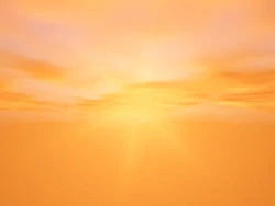 Ambient Sleep DVD