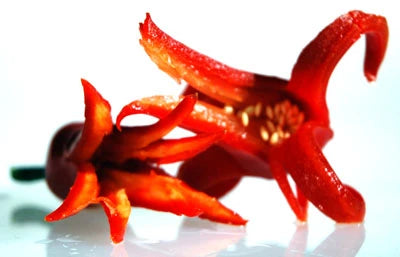Learn to create Food Art