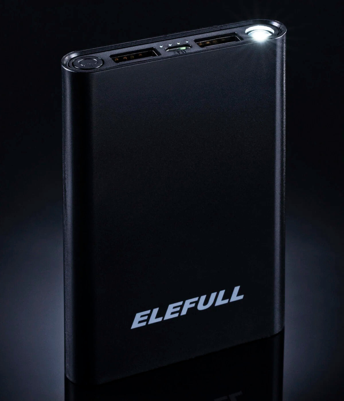 Power Bank (10,000 mAh)