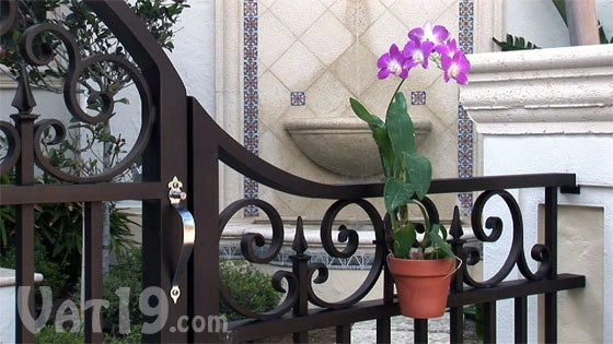 Two cable ties were used to attach a beautiful orchid to an entry gate.