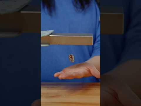Giant Magnet VS Fruits!