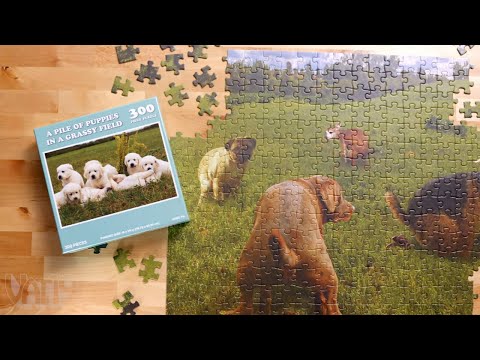 Video for Gag Gift Puzzles
