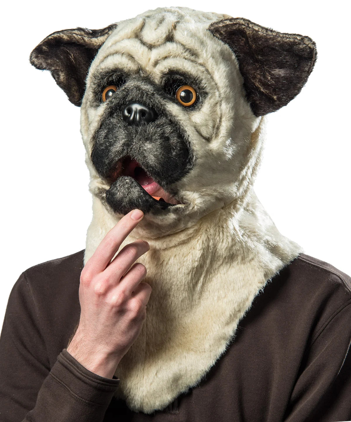 Pug
