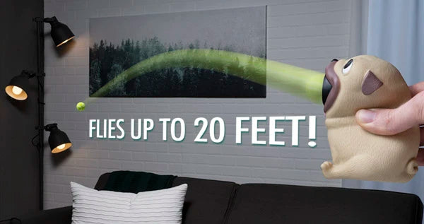 20 feet of fun with man’s best friend.