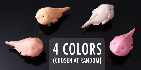 The color of your ugly-cute racing cart will be selected at random.