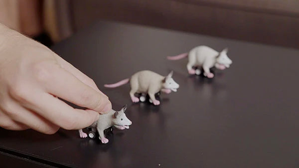 The color of your Racing Possum will be selected at random.