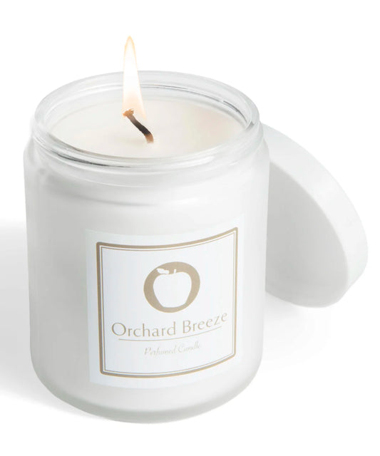Stank Prank Candle beauty shot