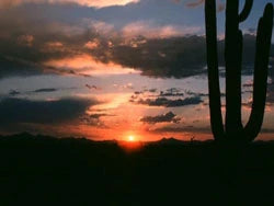 Ambient Sleep DVD