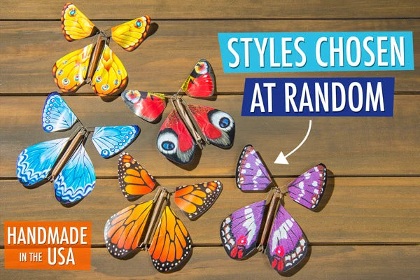 Five styles of flying butterflies