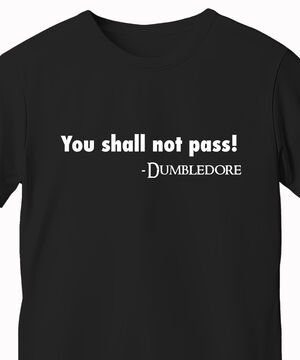 "You Shall Not Pass" T-Shirt beauty shot