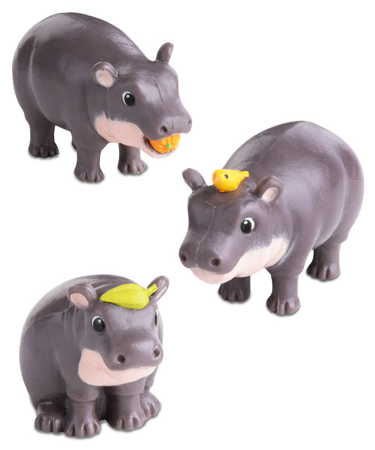 Baby Hippos beauty shot