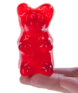 Big Gummy Bears (6-pack) beauty shot