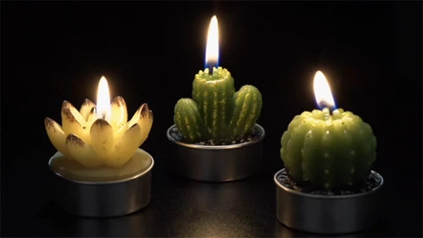 Set the mood with a succulent.