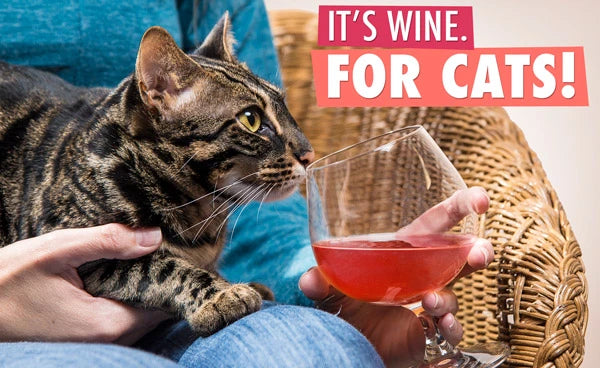 It’s wine. For cats!