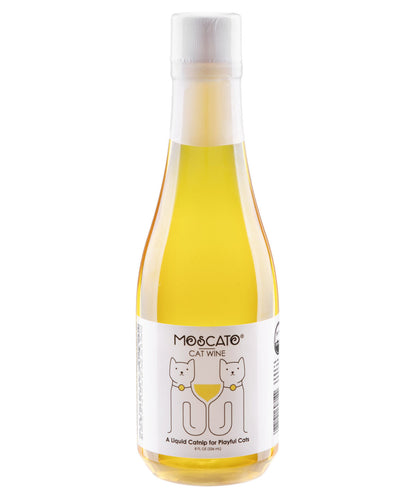 Cat Wine-Moscato beauty shot