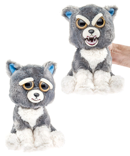 Feisty Pets-Dog beauty shot
