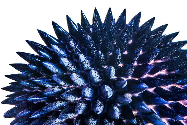 Ferrofluid enjoys a spiked appearance in the presence of a magnetic field.