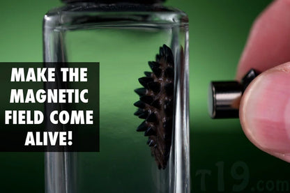 Observe magnetic flux lines by placing a magnet close to the ferrofluid.