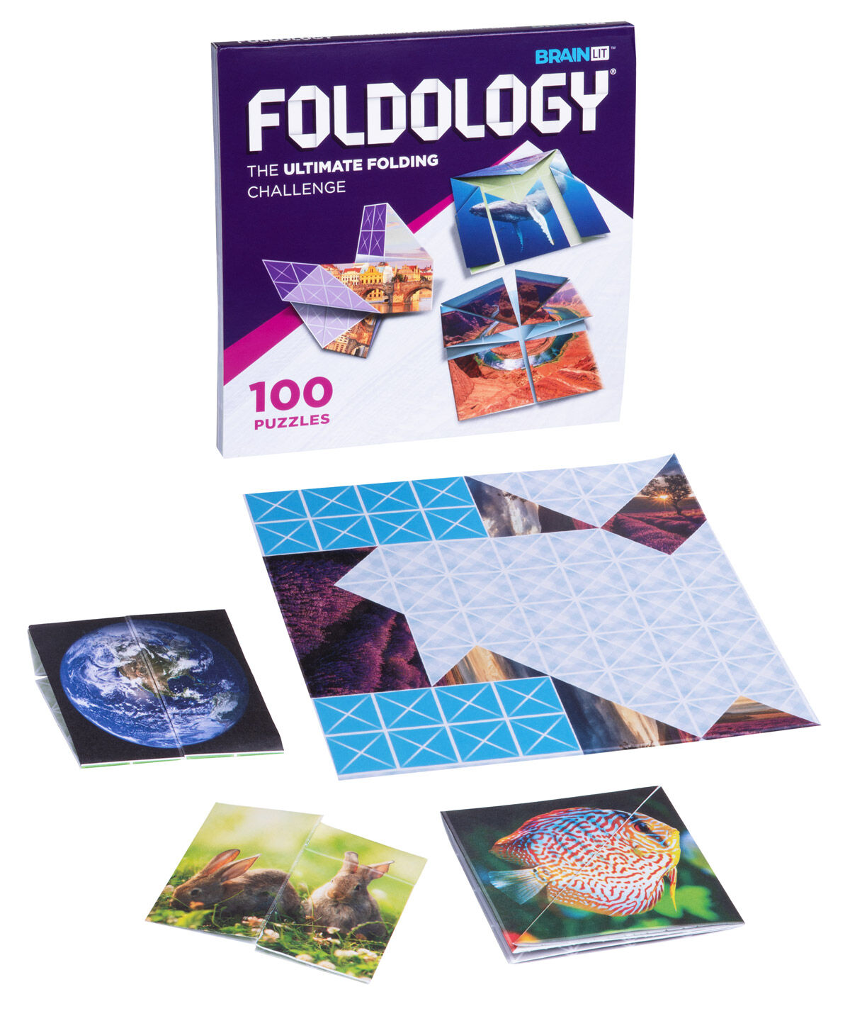 Foldology Origami Puzzle beauty shot