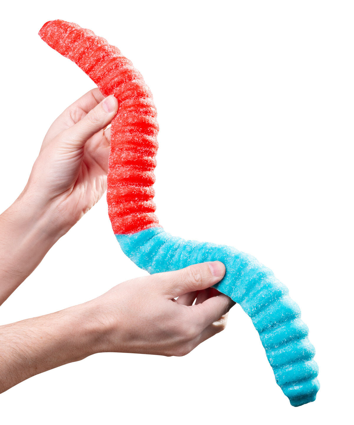 Giant 2-Pound Sour Gummy Worm-Cherry/Blue Raspberry beauty shot